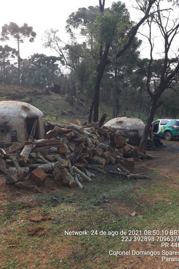 Policiais e agentes do IAT aplicam mais de R$ 1 milhão de multas e quatro pessoas são presas durante a Operação Nascente Viva  -  Curitiba, 31/08/2021  -  Foto: PMPR