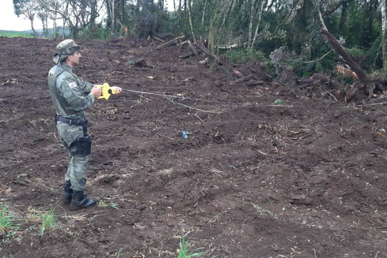 Estado aplica R$ 1 milhão em multas e apreende madeira nativa em ação contra o desmatamento  -  Curitiba, 31/08/2021  -  Foto: PMPR