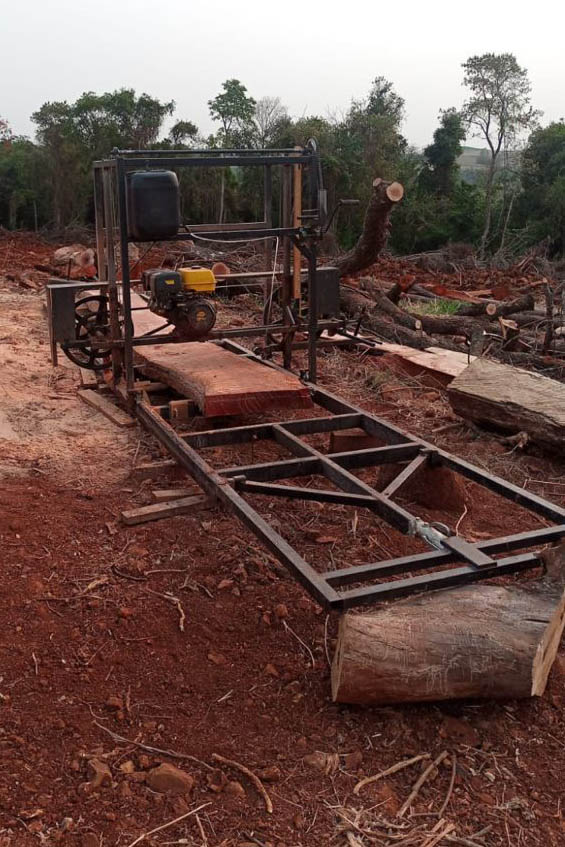 Estado aplica R$ 1 milhão em multas e apreende madeira nativa em ação contra o desmatamento  -  Curitiba, 31/08/2021  -  Foto: PMPR