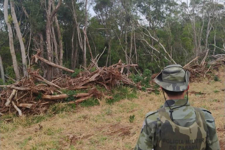 Estado aplica R$ 1 milhão em multas e apreende madeira nativa em ação contra o desmatamento  -  Curitiba, 31/08/2021  -  Foto: PMPR