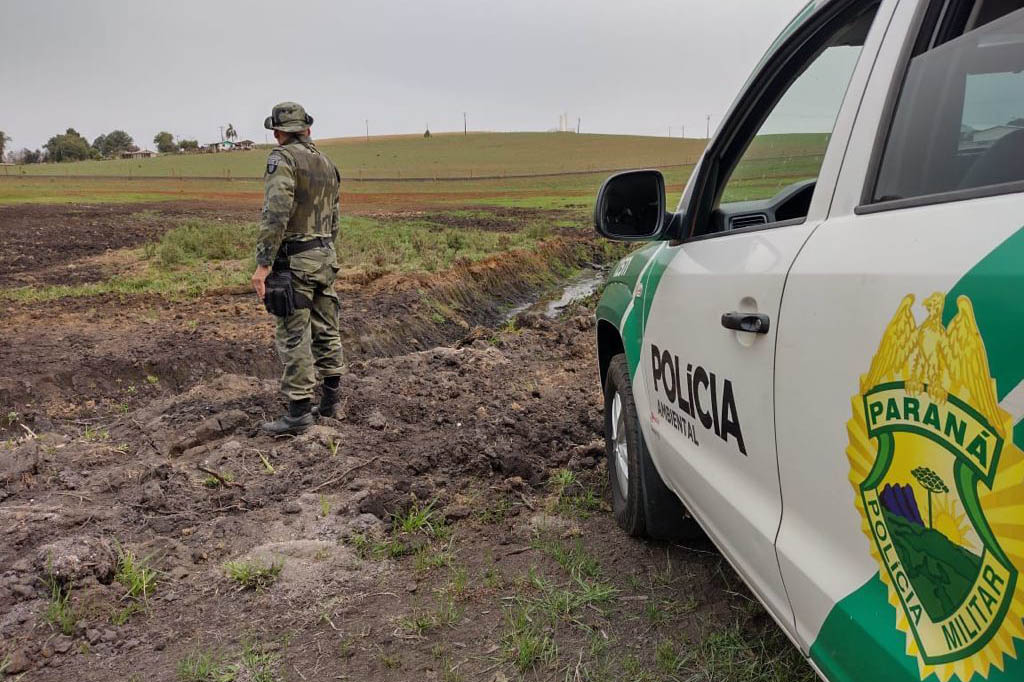 Estado aplica R$ 1 milhão em multas e apreende madeira nativa em ação contra o desmatamento  -  Curitiba, 31/08/2021  -  Foto: PMPR