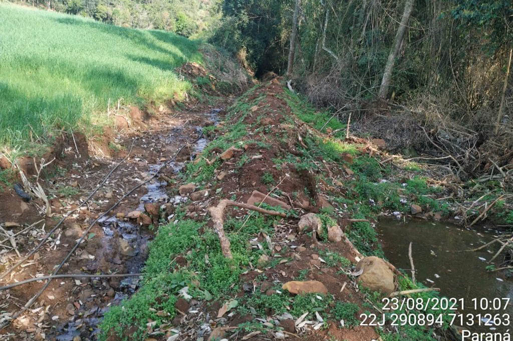 Estado aplica R$ 1 milhão em multas e apreende madeira nativa em ação contra o desmatamento  -  Curitiba, 31/08/2021  -  Foto: PMPR