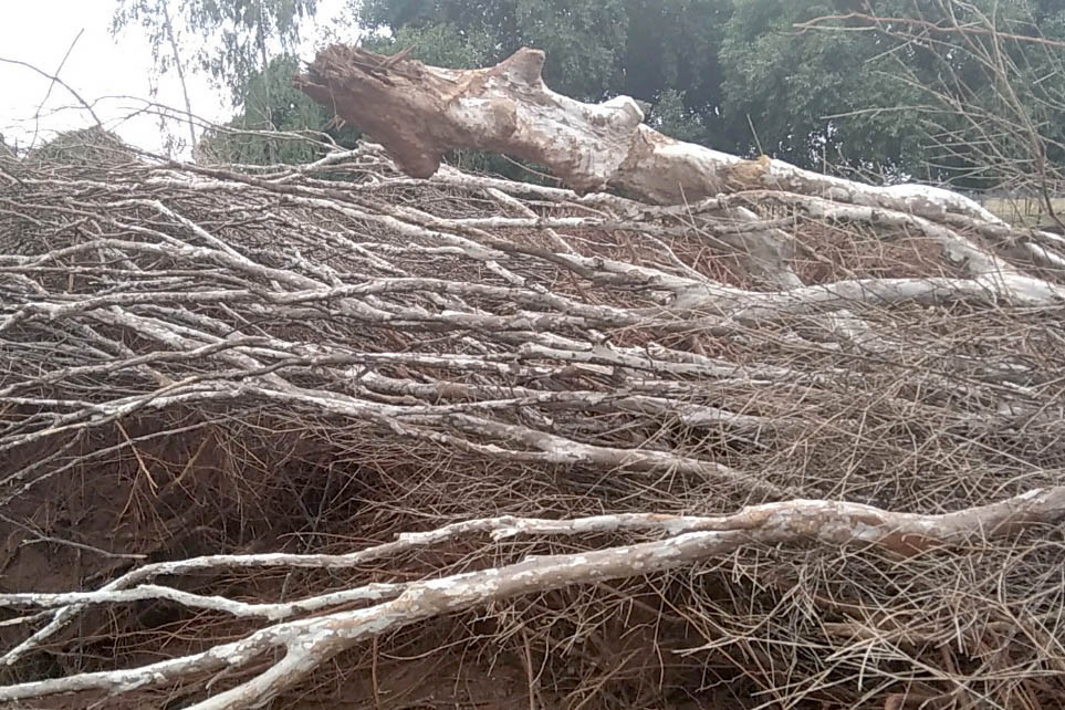 Em força-tarefa nesta quarta-feira (01), o Escritório Regional de Umuarama do Instituto Água e Terra (IAT), fiscalizou denúncias de desmatamento ilegal no município de Cruzeiro do Oeste, no Noroeste do Estado.-  Curitiba, 01/08/2021  -  Foto: IAT