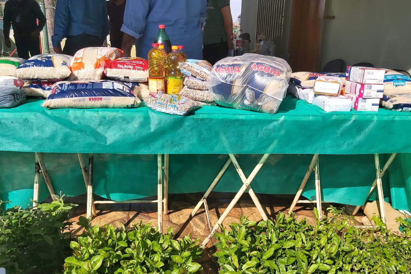 IAT continua com ações de distribuição de mudas de árvores nativas em troca de alimentos. Foto: IAT