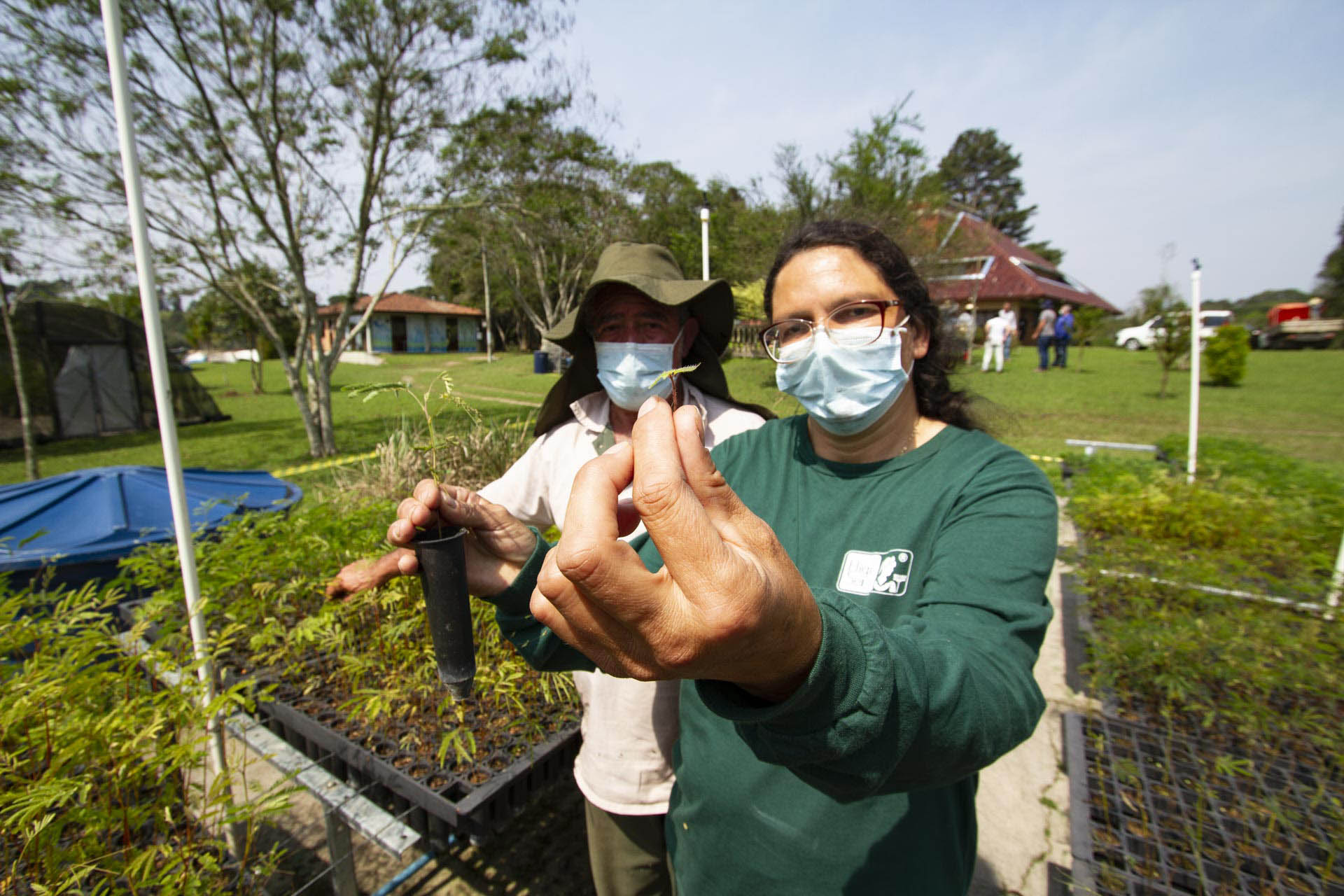 Serão plantadas mais 130 mil mudas de árvores visando a recuperação ambiental das barragens  -  Curitiba, 21/09/2021  -  Foto: André Thiago/Sanepar