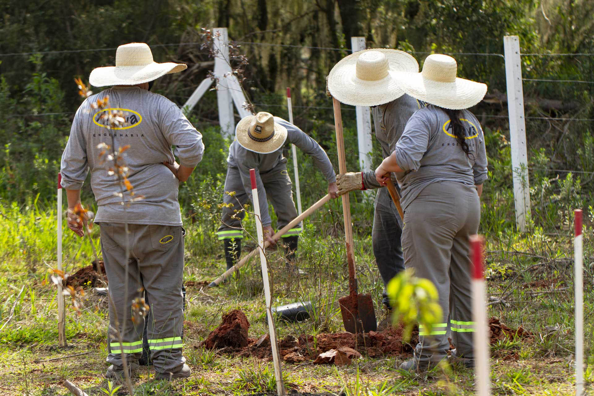 Serão plantadas mais 130 mil mudas de árvores visando a recuperação ambiental das barragens  -  Curitiba, 21/09/2021  -  Foto: André Thiago/Sanepar