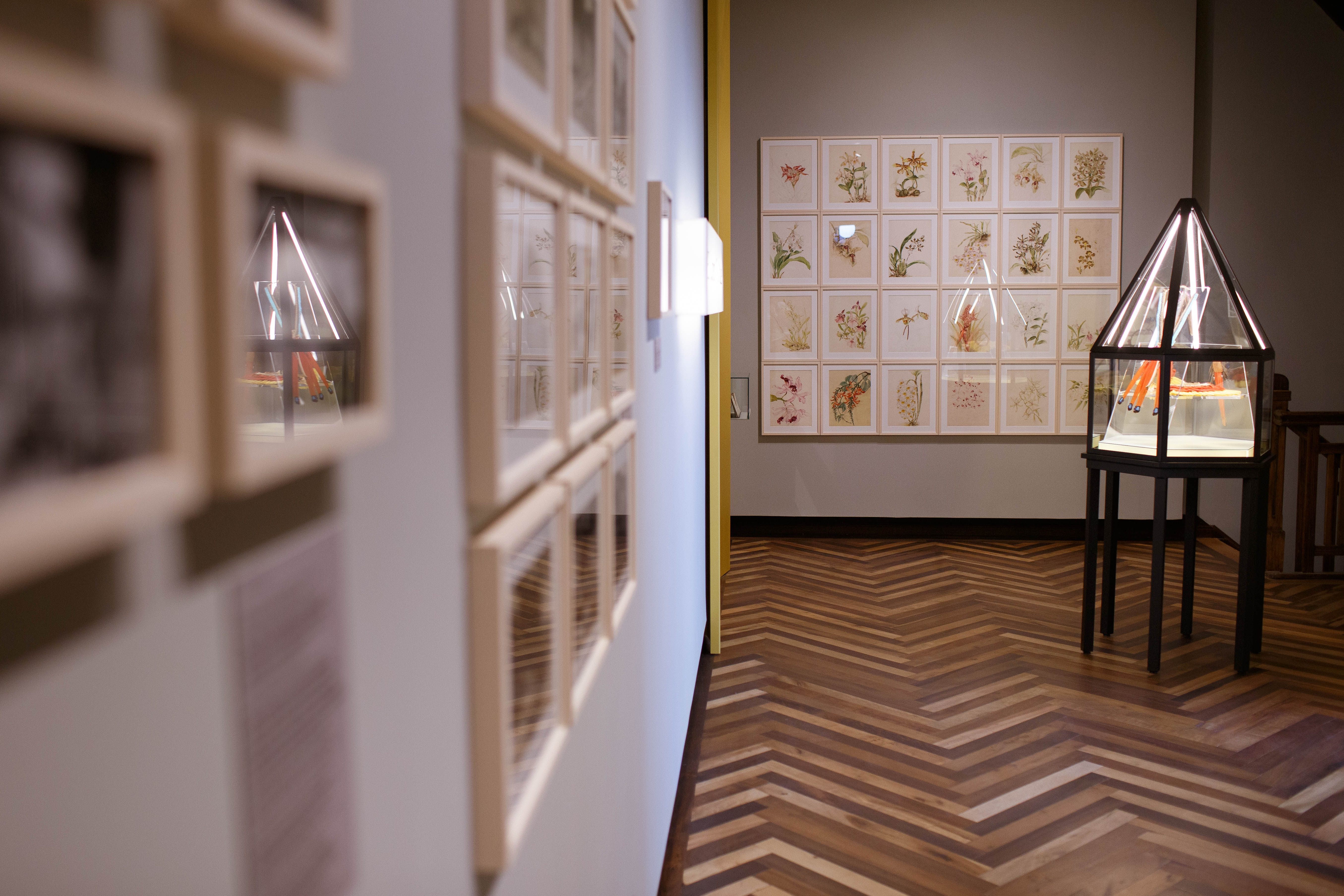 Museu Paranaense comemora 145 anos com programação especial. Foto:Mariana Alves