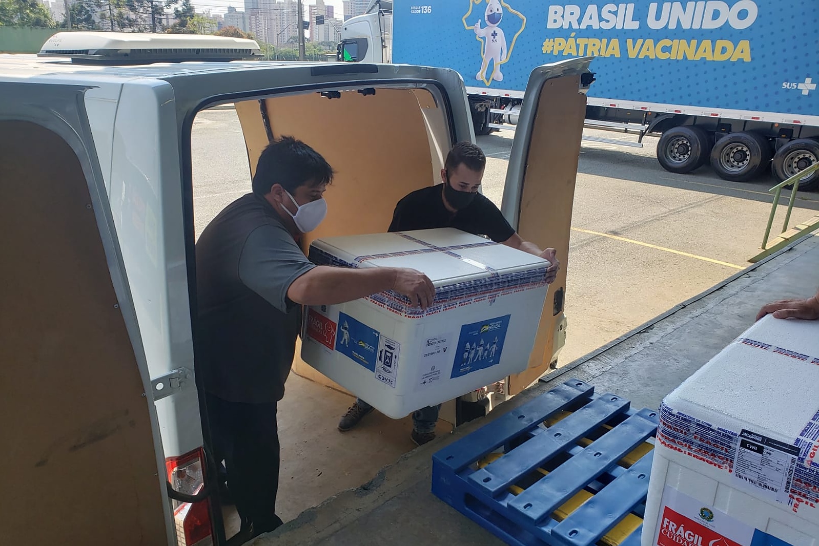 Paraná recebe novo lote de vacinas contra a Covid-19 e distribui 195,3 mil imunizantes Foto: CEMEPAR