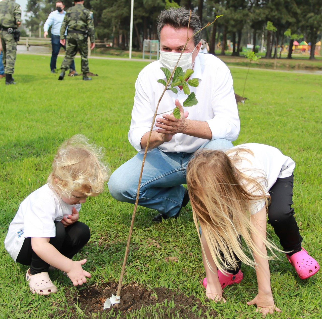 Paraná chega a 5 milhões de mudas distribuídas, equivalente a 3 mil campos de futebol. Foto: Alessandro Vieira/SEDEST