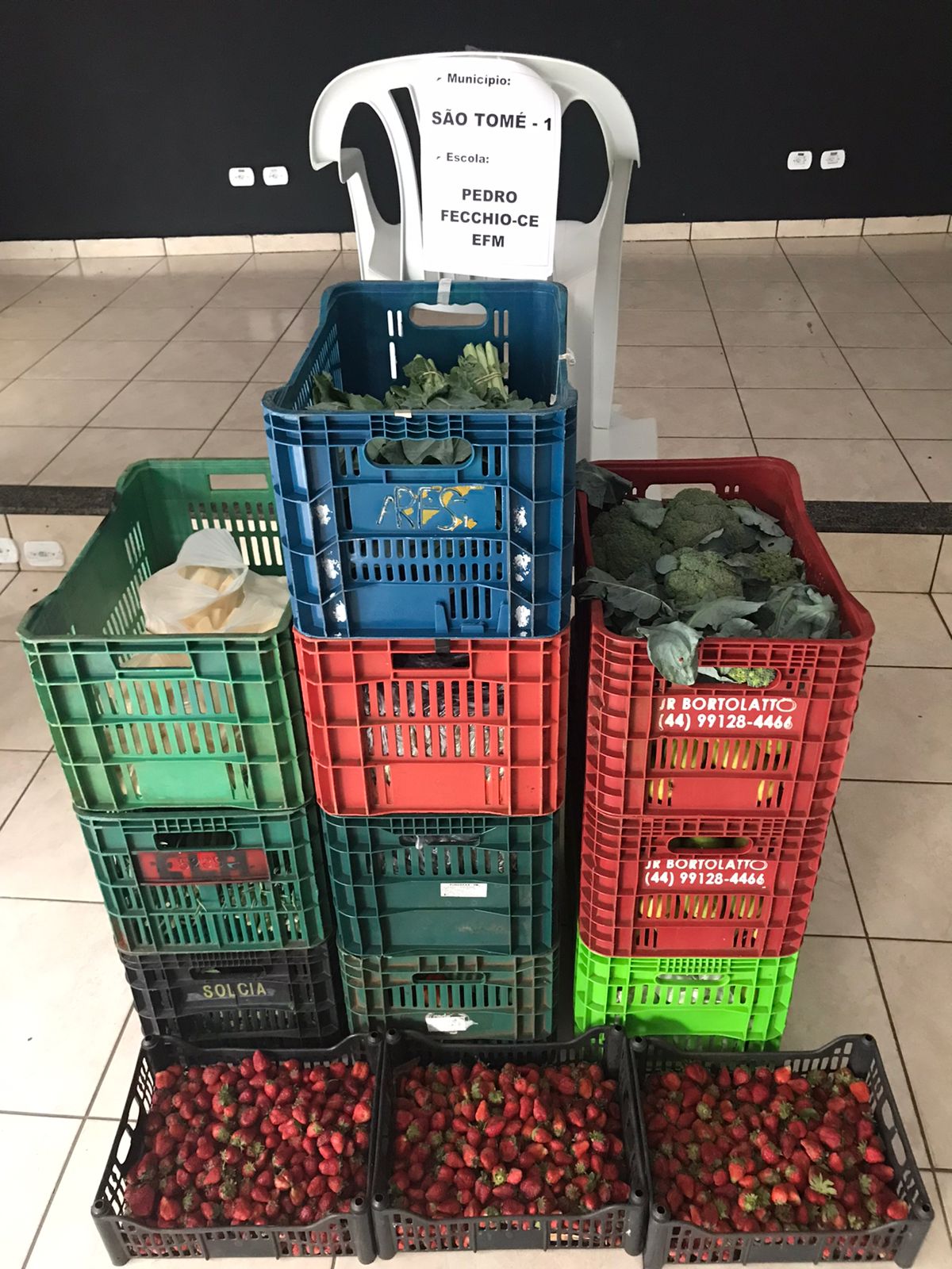 Nova cooperativa regional vai fortalecer agricultura familiar no Noroeste. Foto:Márcio José Serenini/SEAB