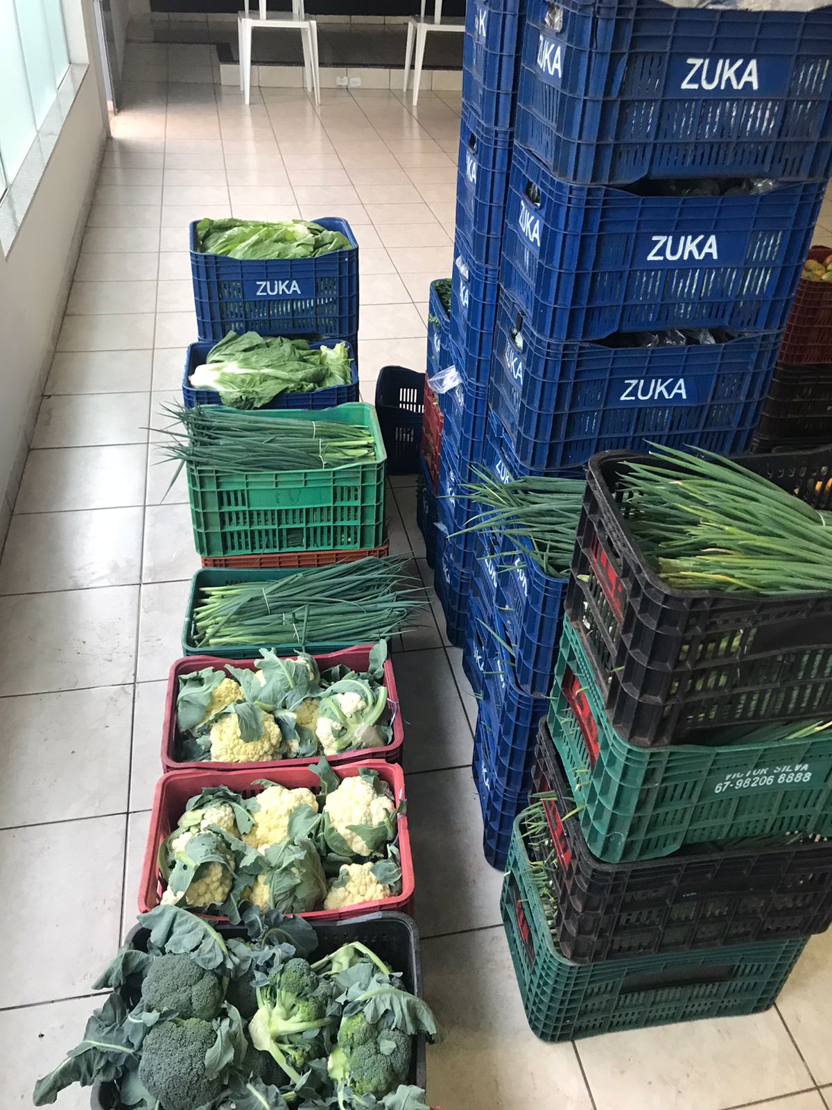 Nova cooperativa regional vai fortalecer agricultura familiar no Noroeste. Foto:Márcio José Serenini/SEAB