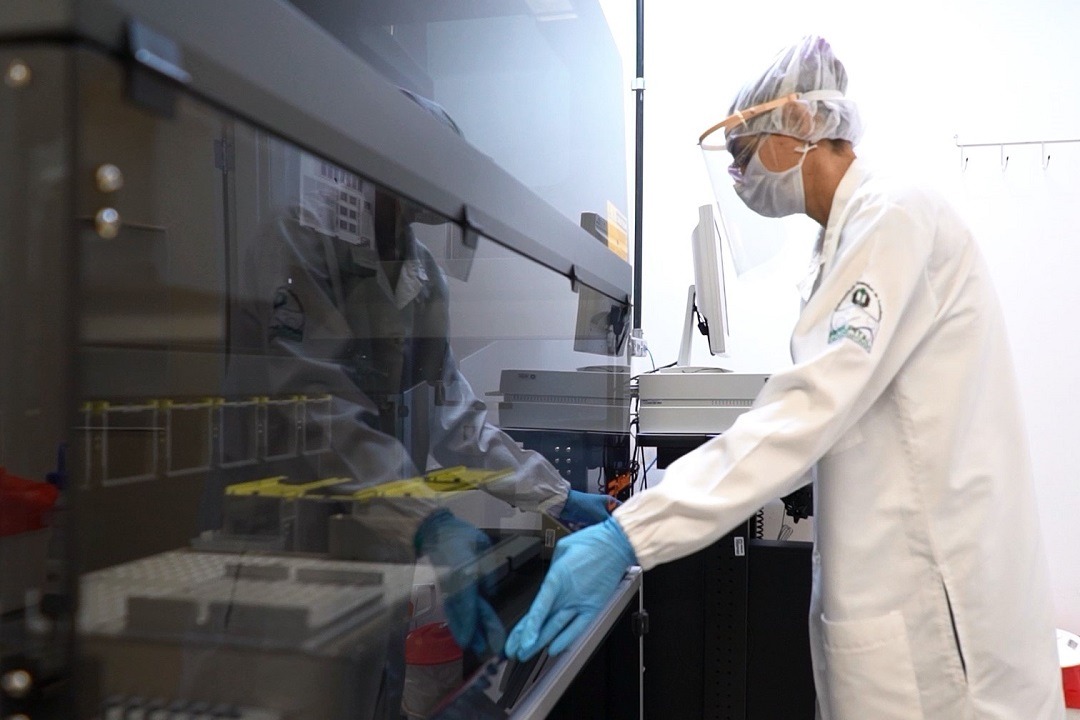 HU/UEL completa 50 anos com importante atuação na pandemia da Covid-19. Foto:SETI