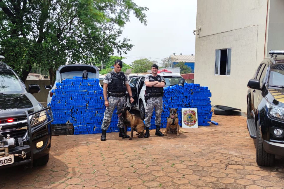 Os esforços da Polícia Militar e da Polícia Federal para reprimir o crime organizado no Norte do Paraná resultaram na apreensão de mais de uma tonelada de maconha na quarta-feira (29/09), em Bela Vista do Paraíso (PR).  - 30/09/2021  -  Foto: PMPR