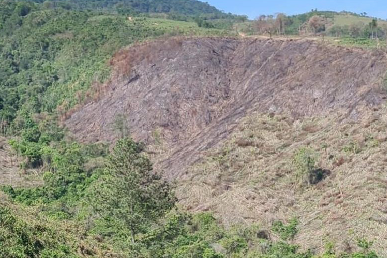 Operação Mata Atlântica em Pé aplicou R$ 15,6 milhões em multas por desmatamento ilegal . Foto: SESP