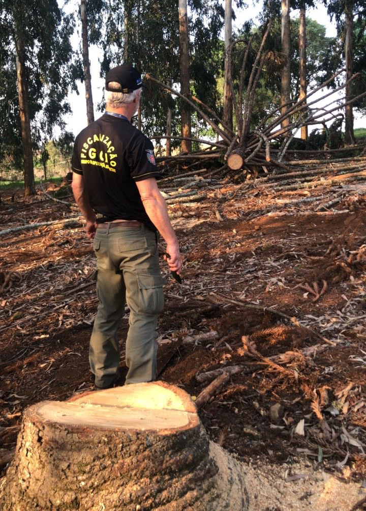 Operação Mata Atlântica em Pé aplicou R$ 15,6 milhões em multas por desmatamento ilegal . Foto: IAT