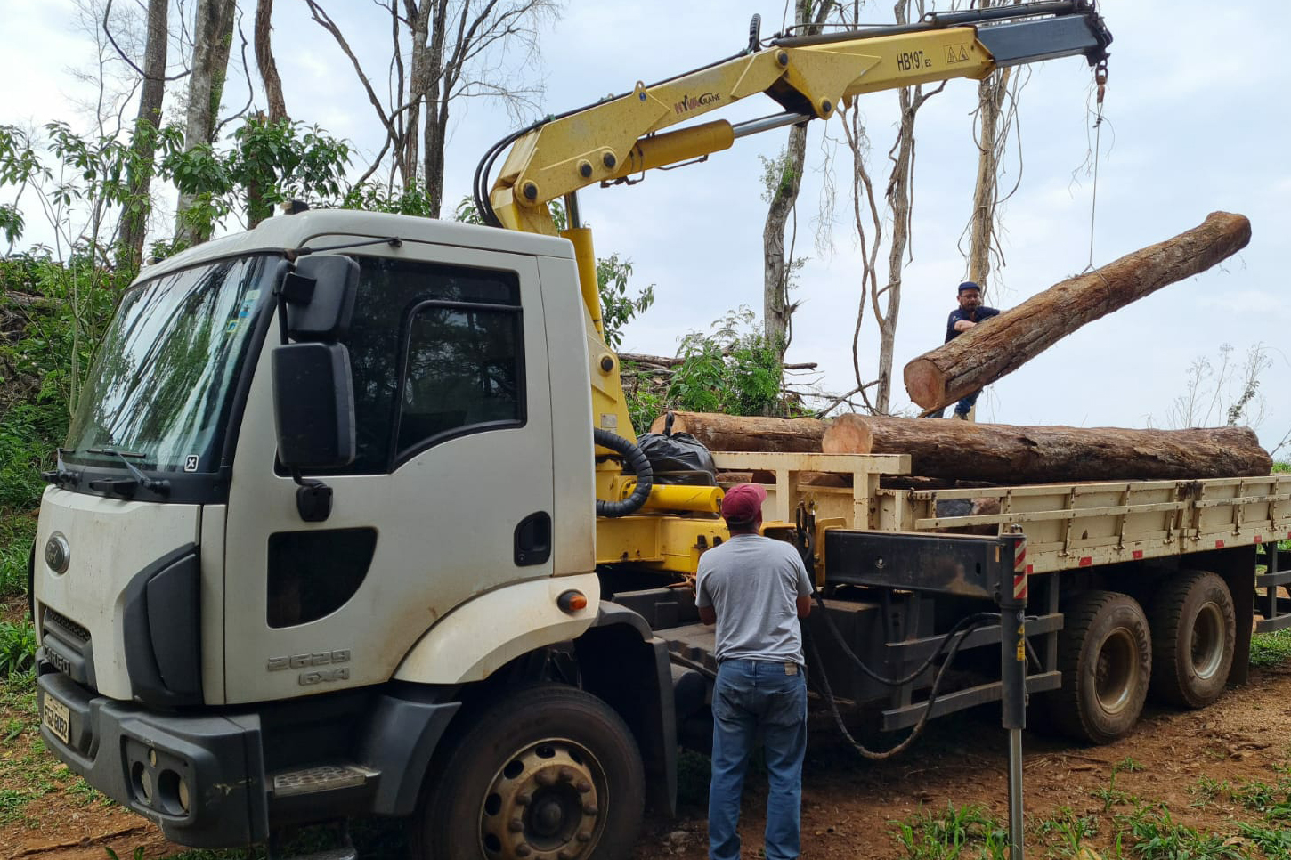 Operação Mata Atlântica em Pé aplicou R$ 15,6 milhões em multas por desmatamento ilegal . Foto: IAT