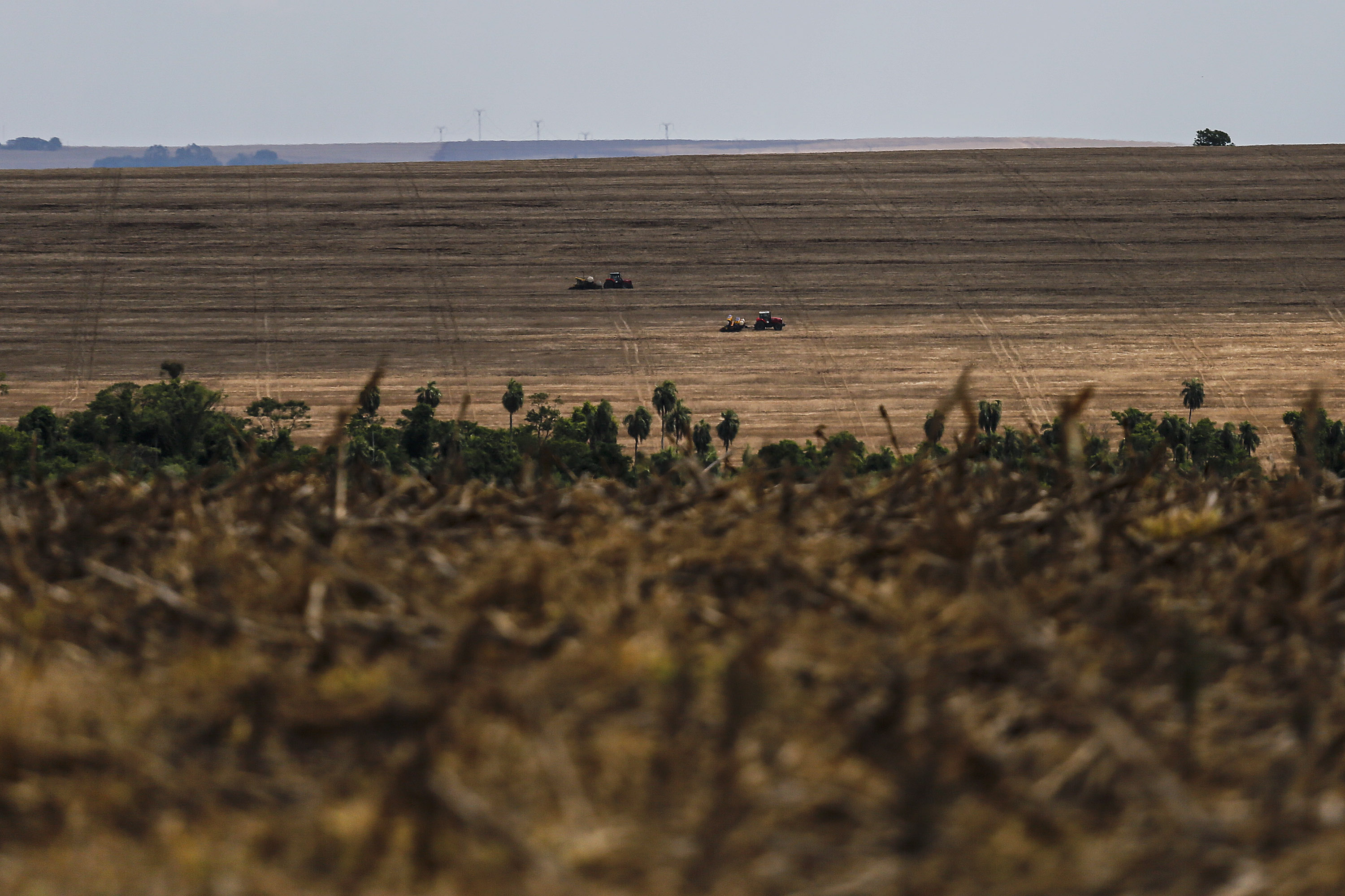 Chuvas retornam ao Estado e oferecem melhores condições de plantio, diz boletim do Deral - Foto : Jonathan Campos / AEN