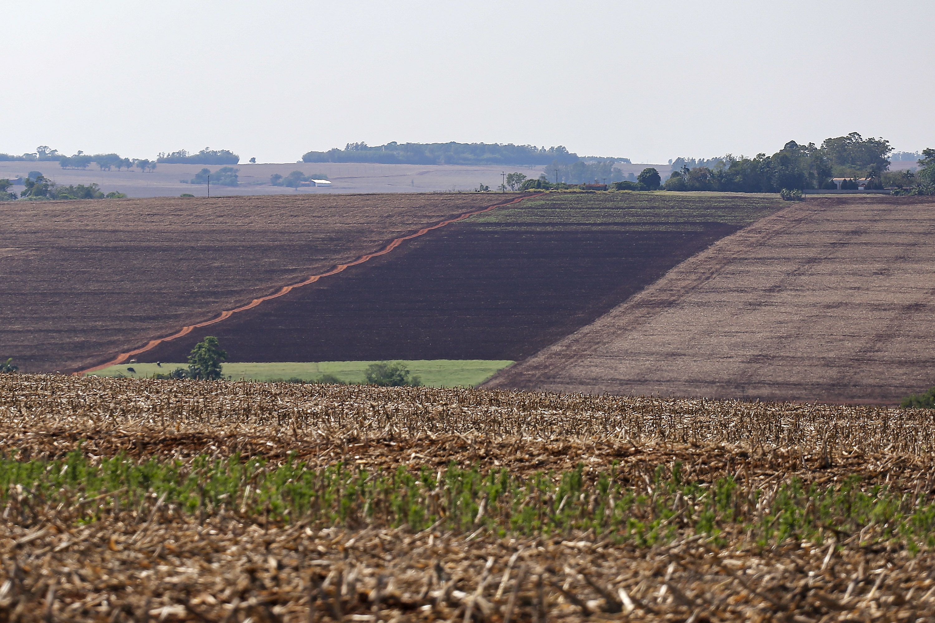 Chuvas retornam ao Estado e oferecem melhores condições de plantio, diz boletim do Deral - Foto : Jonathan Campos / AEN