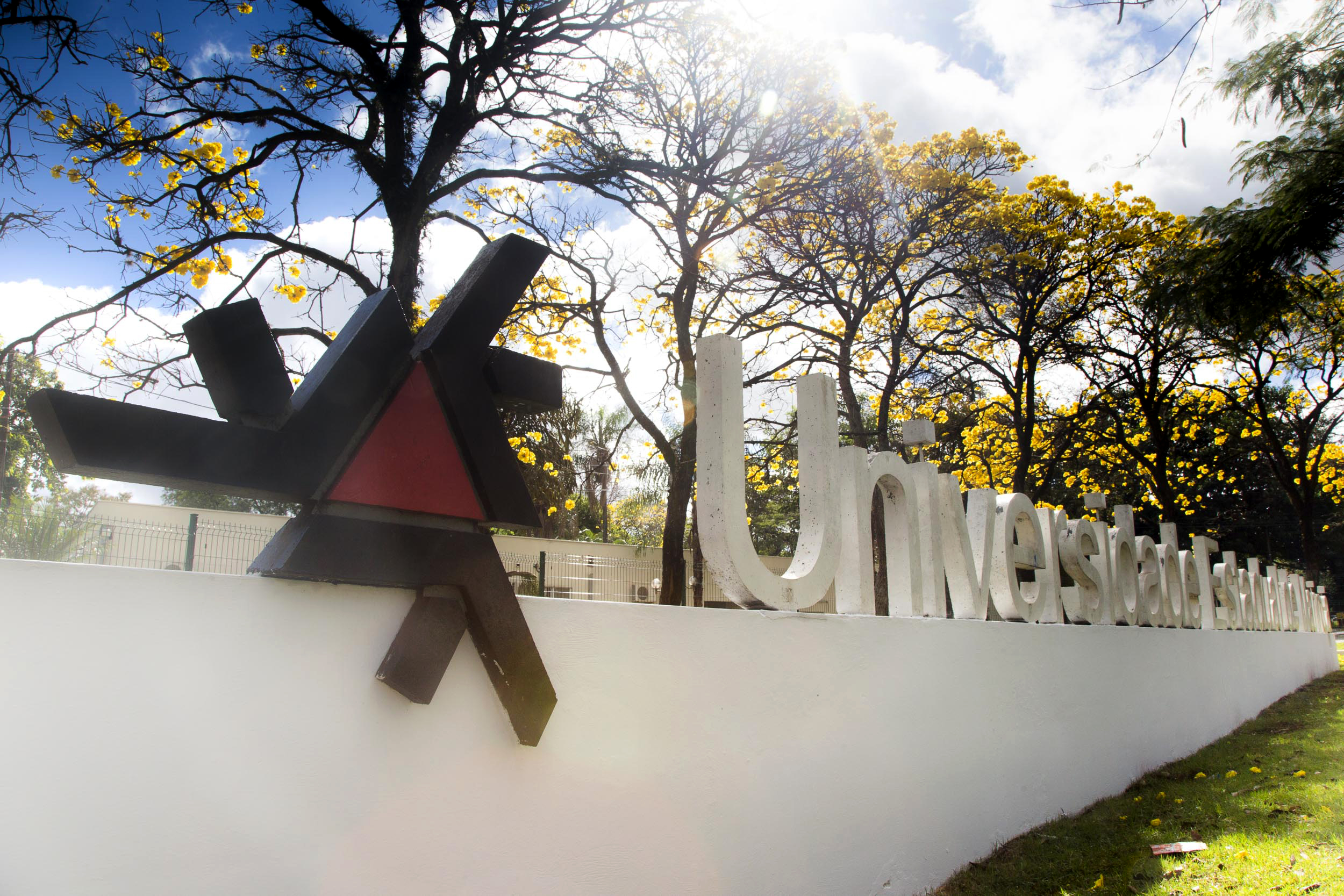 Universidade Estadual de Maringá- UEM    -  Foto: UEM