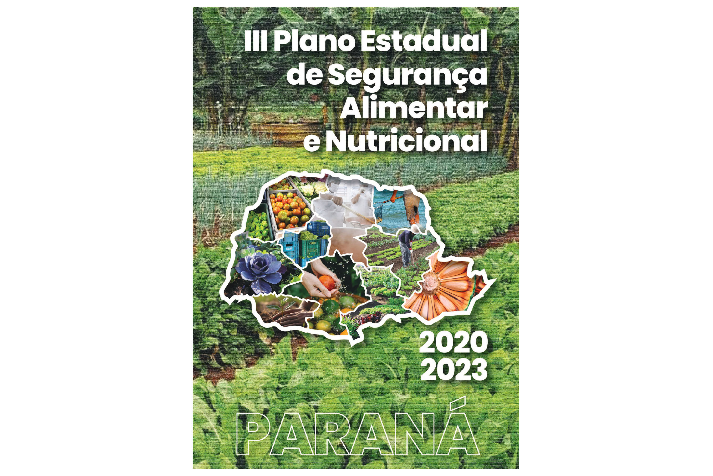 O Paraná lançou, em um evento online nesta segunda-feira (18), o III Plano Estadual de Segurança Alimentar e Nutricional 2020-2023. O documento reúne diretrizes prioritárias para garantir o direito à alimentação adequada e orienta as políticas públicas no estado. O lançamento faz parte de um conjunto de ações em referência ao Dia Mundial da Alimentação, comemorado em 16 de outubro. - Curitiba, 18/10/2021 - Foto:
