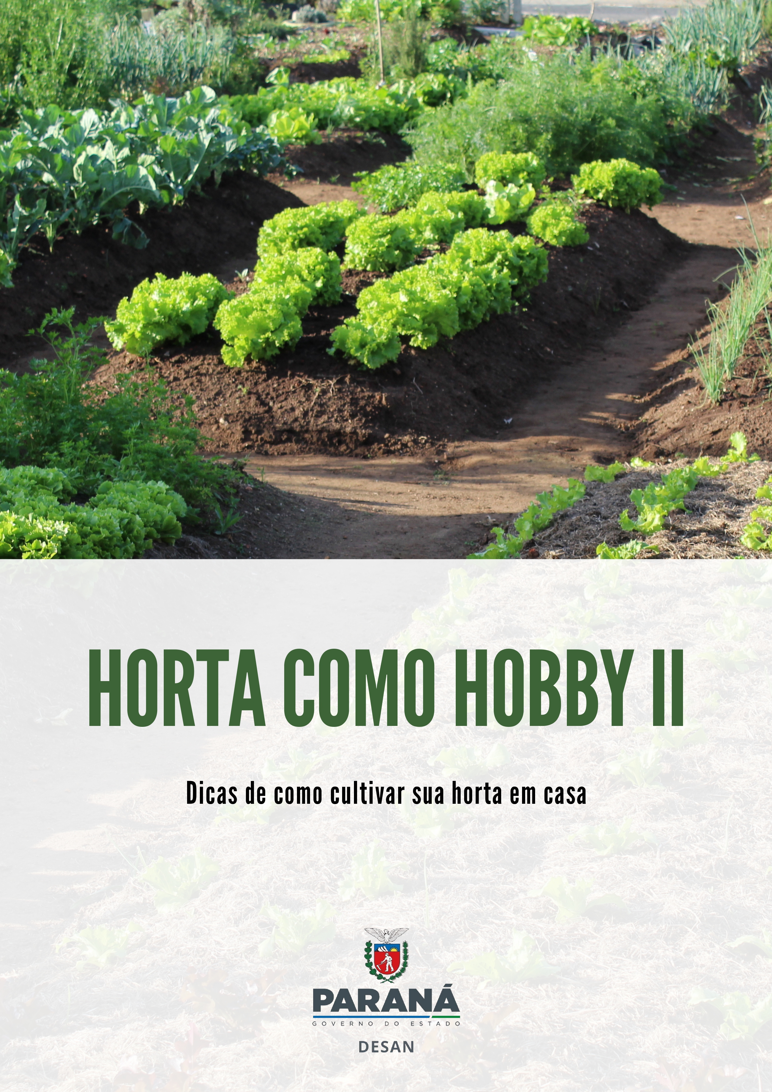 Agricultura lança segundo volume da cartilha “Horta como Hobby”  - Curitiba, 19/10/2021 - Foto: SEAB