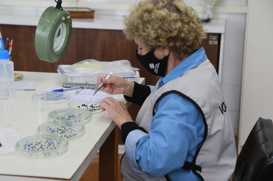 IBFC divulga resultado preliminar do concurso público do IAT  -  Foto: Alessandro Vieira