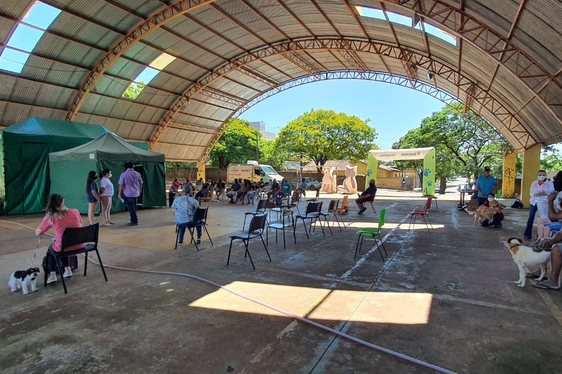 COLORADO -  O Castramóvel passou por sete municípios neste mês. Ao todo, foram esterilizados 855 cães e gatos, uma média de 147 por município. Nesta quarta e quinta-feira (27 e 28), o programa chega a Bandeirantes, onde são esperados 116 animais.  -  Curitiba, 26/10/2021 - Foto: SEDEST