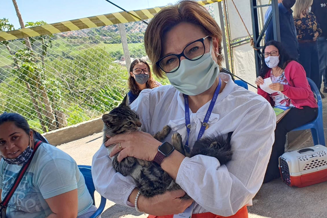 CORNÉLIO PROCÓPIO  -  O Castramóvel passou por sete municípios neste mês. Ao todo, foram esterilizados 855 cães e gatos, uma média de 147 por município. Nesta quarta e quinta-feira (27 e 28), o programa chega a Bandeirantes, onde são esperados 116 animais.  -  Curitiba, 26/10/2021 - Foto: SEDEST