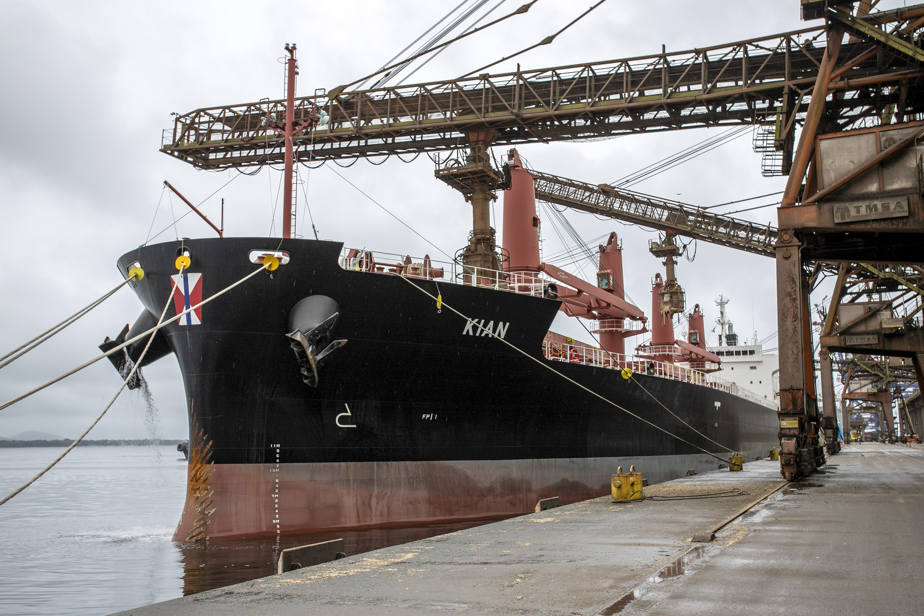 No Corredor de Exportação Leste do Porto de Paranaguá (Corex), duas operações em andamento chamam a atenção por fugirem da rotina do complexo portuário, pelo tipo de produto e modalidade de transporte adotado. A primeira pelo embarque de trigo para navegação interior (cabotagem). Outra, pelo sentido da carga e pela produtividade: 11 mil toneladas de milho de importação foram descarregadas em 24 horas. Foto: Claudio Neves/Portos do Paraná