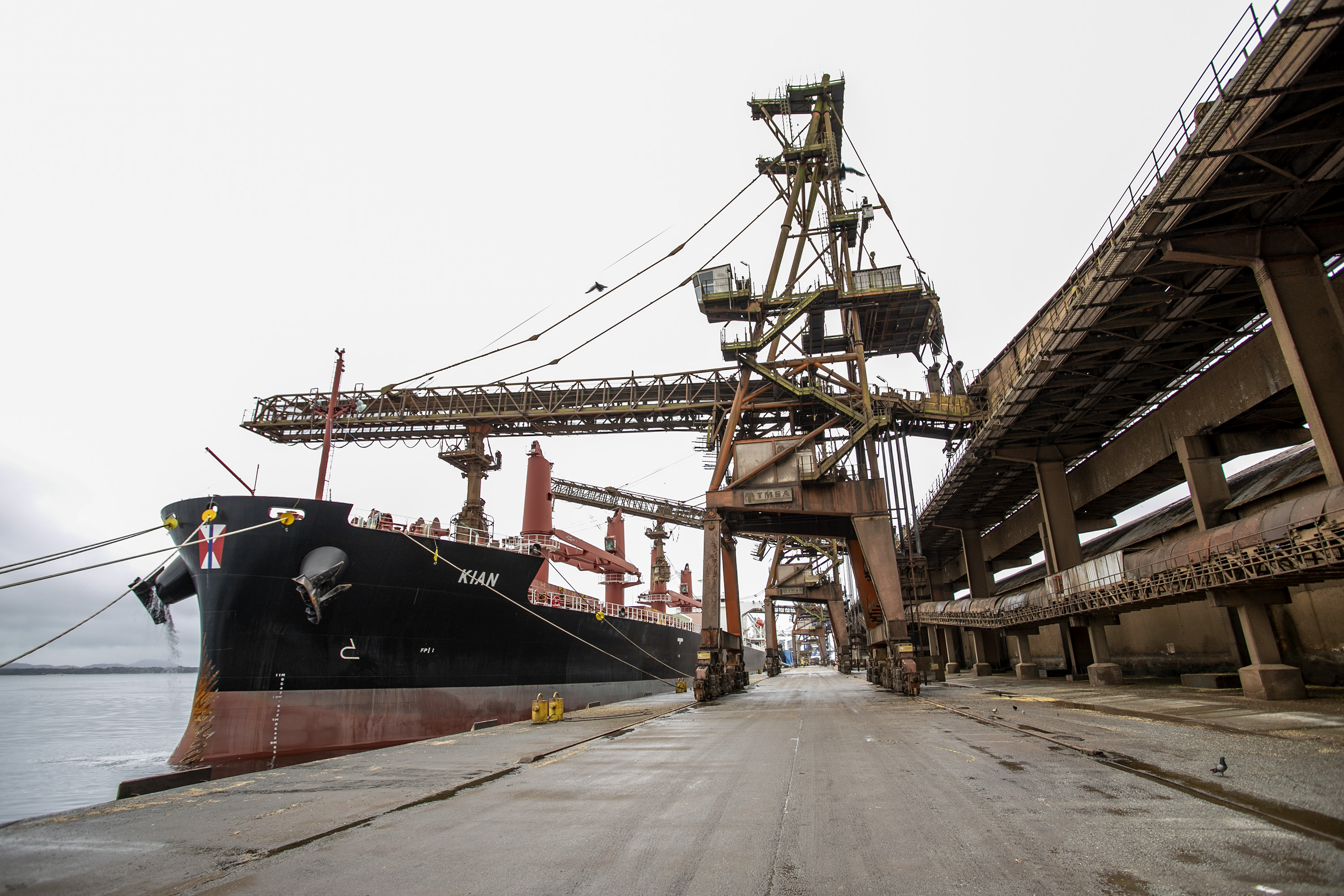 No Corredor de Exportação Leste do Porto de Paranaguá (Corex), duas operações em andamento chamam a atenção por fugirem da rotina do complexo portuário, pelo tipo de produto e modalidade de transporte adotado. A primeira pelo embarque de trigo para navegação interior (cabotagem). Outra, pelo sentido da carga e pela produtividade: 11 mil toneladas de milho de importação foram descarregadas em 24 horas. Foto: Claudio Neves/Portos do Paraná