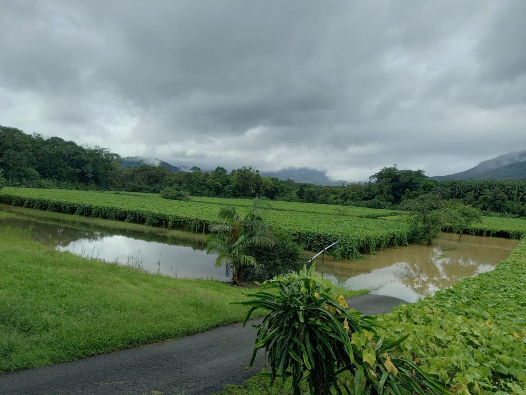 Defesa Civil desloca equipe para acompanhar desdobramentos das chuvas no Litoral
Foto: Defesa Civil Paraná