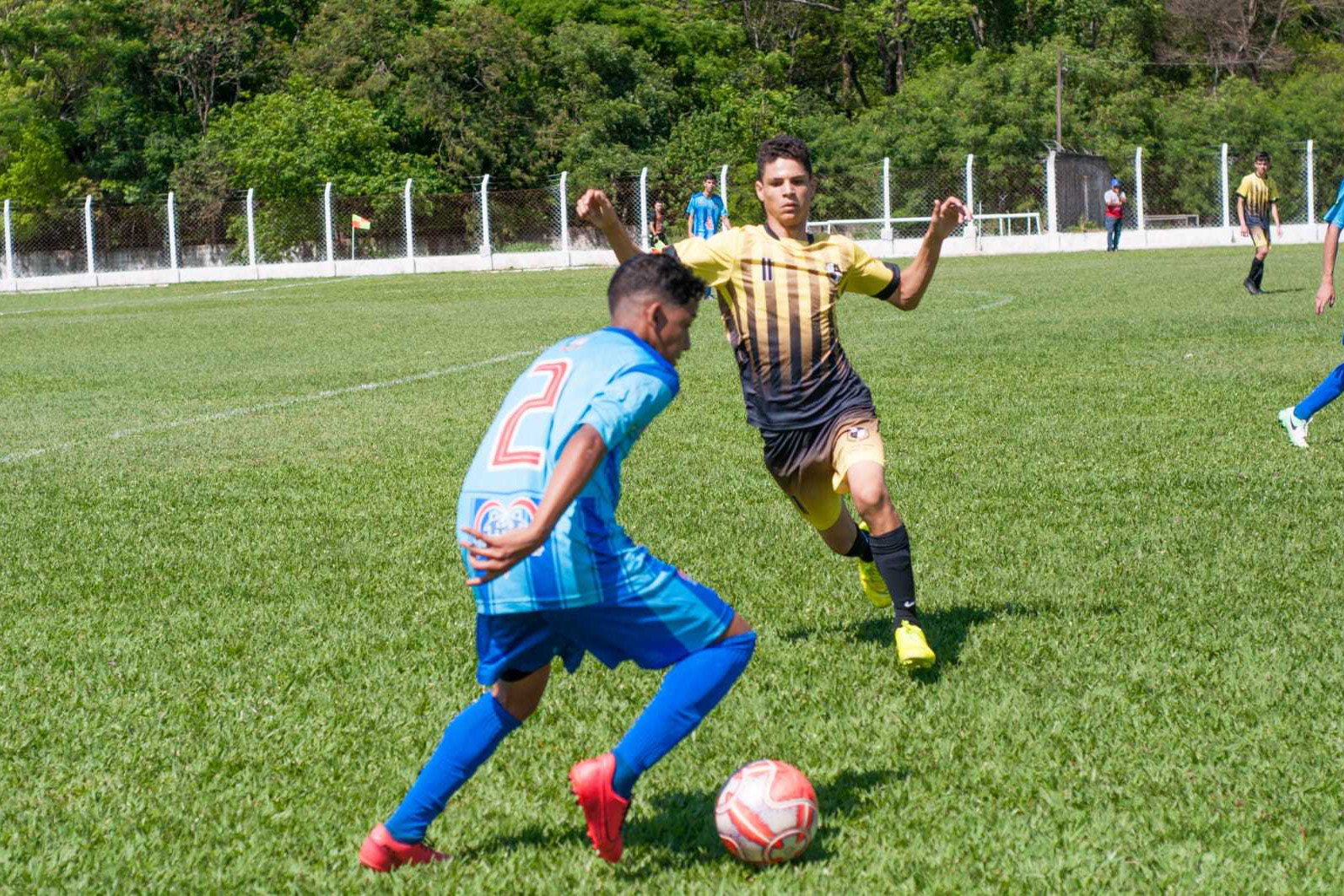 Paraná Bom de Bola chega ao fim. Conheça todos os campeões - Curitiba, 01/11/2021 - Foto: Paraná Esporte