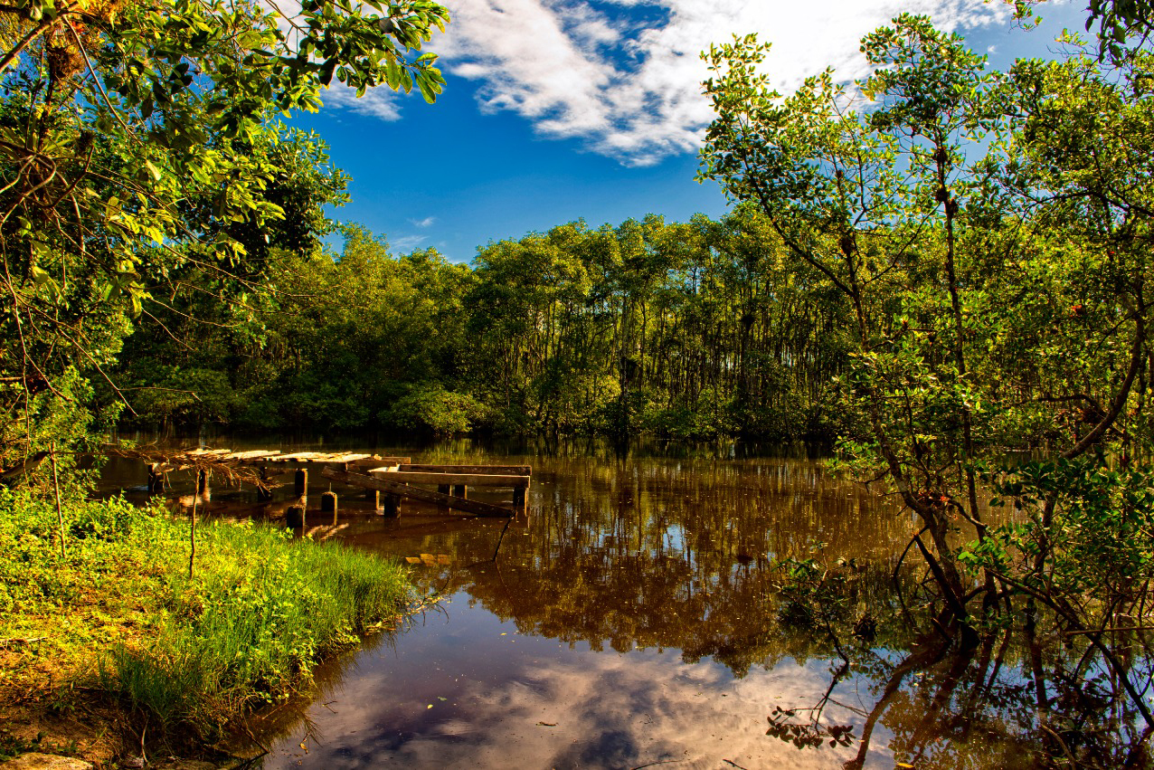 Paraná apresenta potencial do turismo náutico no maior evento do setor da América Latina. Foto: Denis Ferreira Netto
