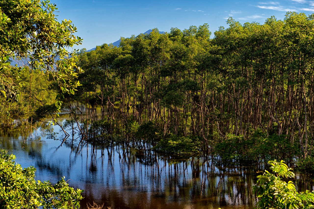 Paraná apresenta potencial do turismo náutico no maior evento do setor da América Latina. Foto: Denis Ferreira Netto