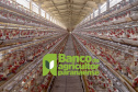 Agricultura paranaense aposta em sustentabilidade e inovação, diz secretário em evento