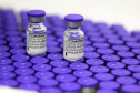 170.820 vacinas contra a Covid-19 que chegaram ao Paraná são para adolescentes . Foto: Américo Antonio/SESA