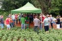Organizado pelo IDR-Paraná (Instituto de Desenvolvimento Rural do Paraná-Iapar-Emater) e Embrapa Soja o Giro Técnico da Soja-Safra 2021/2022 tem início na próxima segunda-feira, dia 29 e será realizado em 16 municípios do Paraná. O objetivo é promover uma discussão entre extensionistas, pesquisadores e produtores sobre os resultados das boas práticas agrícolas e como essas tecnologias podem ser adotadas na propriedade.  - Curitiba, 25/11/2021 - Foto: IDR-PARANÁ