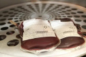 Hemocentro de Londrina marca Semana do Doador de Sangue com recepção especial. Foto: UEL
