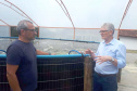 O secretário da Agricultura e do Abastecimento, Norberto Ortigara visita a Villa Peixes, em Curitiba. Foto:SEAB