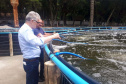 O secretário da Agricultura e do Abastecimento, Norberto Ortigara visita a Villa Peixes, em Curitiba. Foto:SEAB