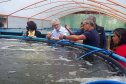 O secretário da Agricultura e do Abastecimento, Norberto Ortigara visita a Villa Peixes, em Curitiba. Foto:SEAB