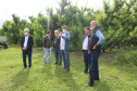 O investimento em pesquisa, em assistência técnica e extensão rural está colaborando para tornar a Lapa referência na fruticultura. A Estação Experimental do Instituto de Desenvolvimento Rural do Paraná Iapar-Emater (IDR-Paraná) no município alia tecnologia a boas práticas, e agora busca fortalecer o laço com outras cidades para incentivar a produção regional.Foto: Gisele Barão/SEAB