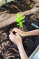 O Viveiro Florestal do Instituto Água e Terra (IAT) em Jacarezinho, no Norte Pioneiro do Estado, voltou a recepcionar estudantes pelo projeto de educação ambiental, nesta terça-feira (23). Ao todo, 34 alunos dos 4º e 5º anos do ensino fundamental da Escola Municipal Professora Ruth Pimentel Rocha tiveram a experiência de um dia no campo com atividades diferenciadas. - Jacarezinho, 23/11/2021 - Foto: IAT