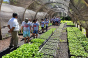 O Viveiro Florestal do Instituto Água e Terra (IAT) em Jacarezinho, no Norte Pioneiro do Estado, voltou a recepcionar estudantes pelo projeto de educação ambiental, nesta terça-feira (23). Ao todo, 34 alunos dos 4º e 5º anos do ensino fundamental da Escola Municipal Professora Ruth Pimentel Rocha tiveram a experiência de um dia no campo com atividades diferenciadas. - Jacarezinho, 23/11/2021 - Foto: IAT