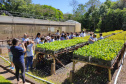 O Viveiro Florestal do Instituto Água e Terra (IAT) em Jacarezinho, no Norte Pioneiro do Estado, voltou a recepcionar estudantes pelo projeto de educação ambiental, nesta terça-feira (23). Ao todo, 34 alunos dos 4º e 5º anos do ensino fundamental da Escola Municipal Professora Ruth Pimentel Rocha tiveram a experiência de um dia no campo com atividades diferenciadas. - Jacarezinho, 23/11/2021 - Foto: IAT