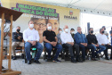 PALMAS
