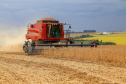 Boletim da Agricultura aponta que plantio de soja já alcança quase 5,6 milhões de hectares