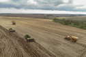 Boletim da Agricultura aponta que plantio de soja já alcança quase 5,6 milhões de hectares