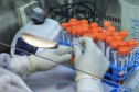 Pesquisadores desenvolvem programa capaz de identificar novos genes
