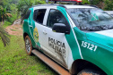 Batalhão Ambiental emite mais de 3,4 mil autuações e aplica mais de R$ 60,2 milhões em multas por crimes ambientais em 2021